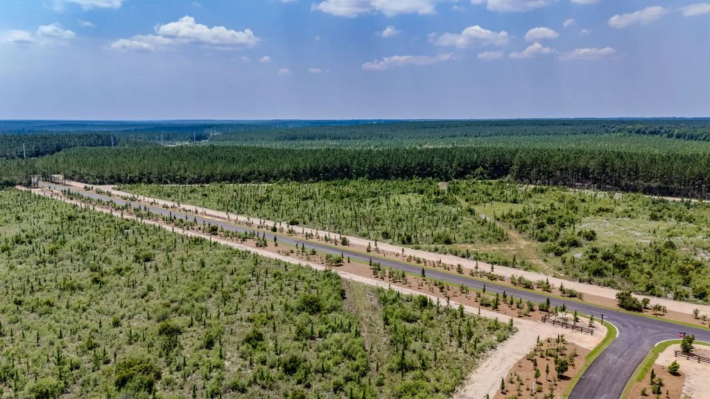 An aerial view of a new subdivision: planted lots along fresh asphalt roads, pine forest beyond